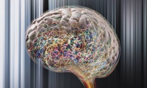 John Lund/Latinstock